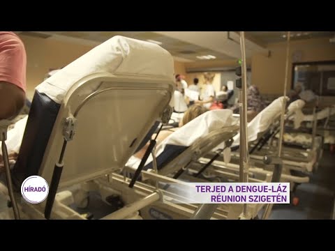 Terjed a dengue-láz Réunion szigetén