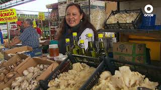 La sazón de mi mercado - La feria de los hongos (22/02/2024)