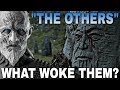 The True Nature & Purpose of the Others! - Game of Thrones Season 8 (End Game Theory)