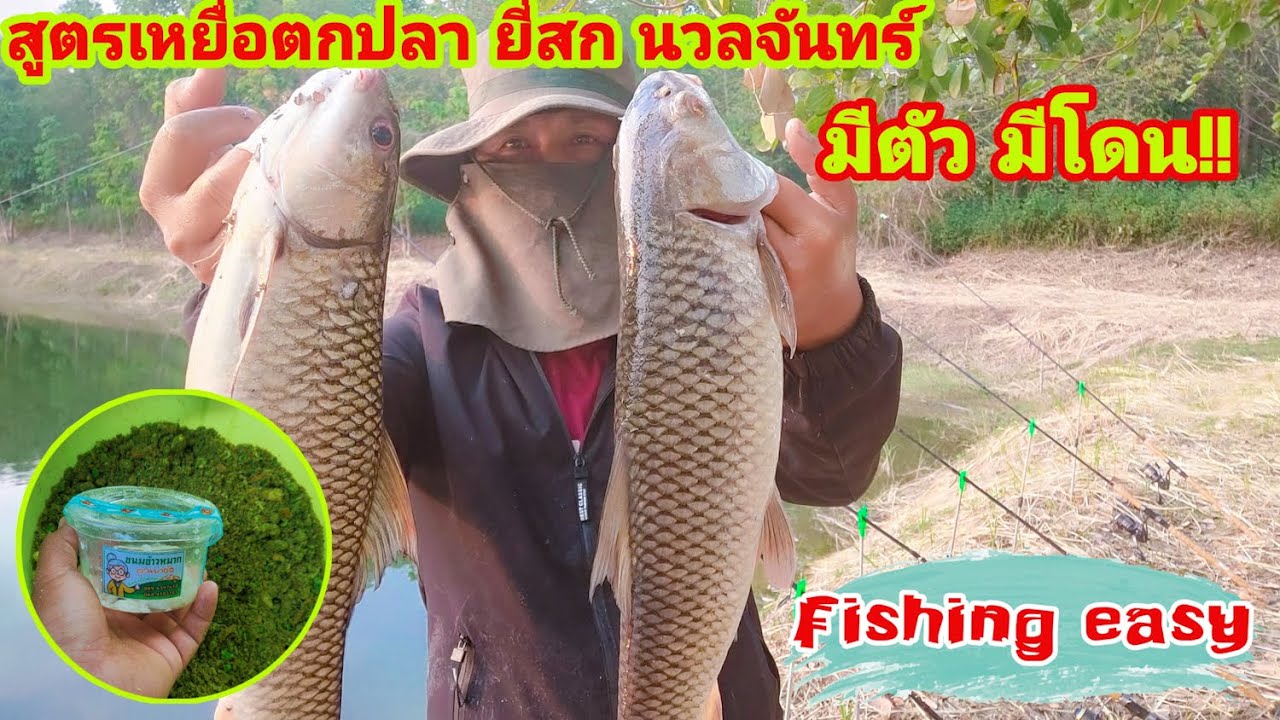 เปิดสูตรเหยื่อตกปลายี่สก นวลจันทร์ มีตัว มีโดน Fishing easy | สูตร อาหาร ตก ปลา ยี่สกข้อมูลที่เกี่ยวข้องล่าสุดทั้งหมด