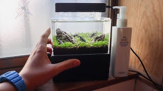 The Worlds Smallest Iwagumi Planted Aquarium