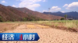5年以来最严重干旱！云南买水灌溉反而省钱？水价改革节水又增收！ 「经济半小时」20230518 | 财经风云