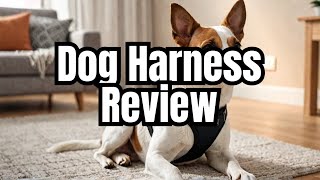 Ultimate Pet Comfort & Safety: Voyager Step-in Air Dog Harness Review | Must-Have