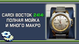 видео: Cardi Восток: калибр 2414 - полный процесс мойки и макро картинка: Cardi Восток: калибр 2414 - полный процесс мойки и макро