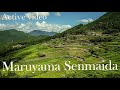 【Maruyama Senmaida】 Impressive superb view! !! 1340 rice terraces representing Japan!!!