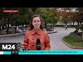 Москвичей предупредили о ветреной и дождливой погоде - Москва 24