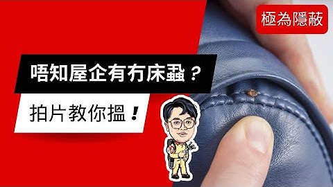 4 个步骤 - 教你检查床蝨木蝨臭虫 - 天天要闻