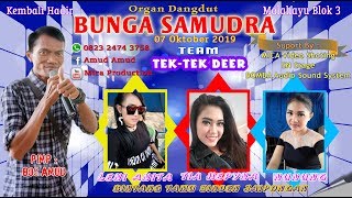 Download Lagu Bunga Samudra 12 2019 MP3 Bunga Samudra 12 2019