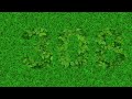 この３つの数字がみえますか？全部見えたら、親に感謝しましょう！【色覚テスト】