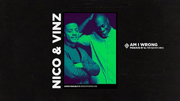 Nico & Vinz - Am I Wrong [Instrumental]