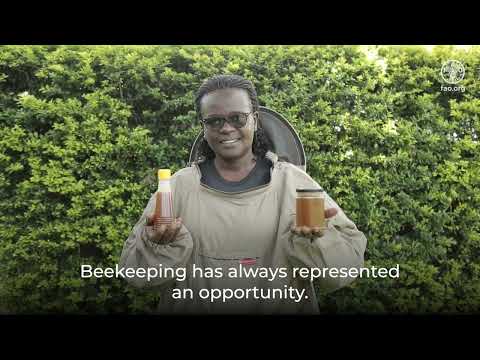 Bee together for people and the planet | Why bees and other pollinators matter