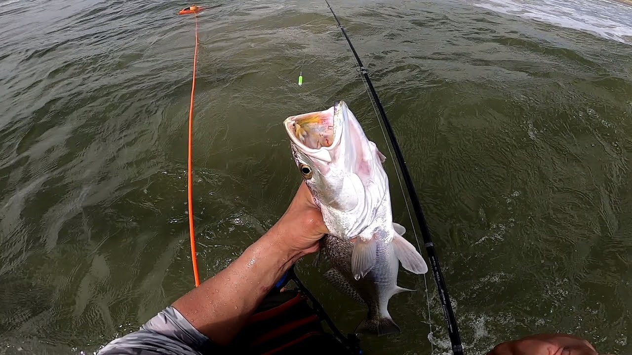 speckled trout fishing in Galveston surf YouTube