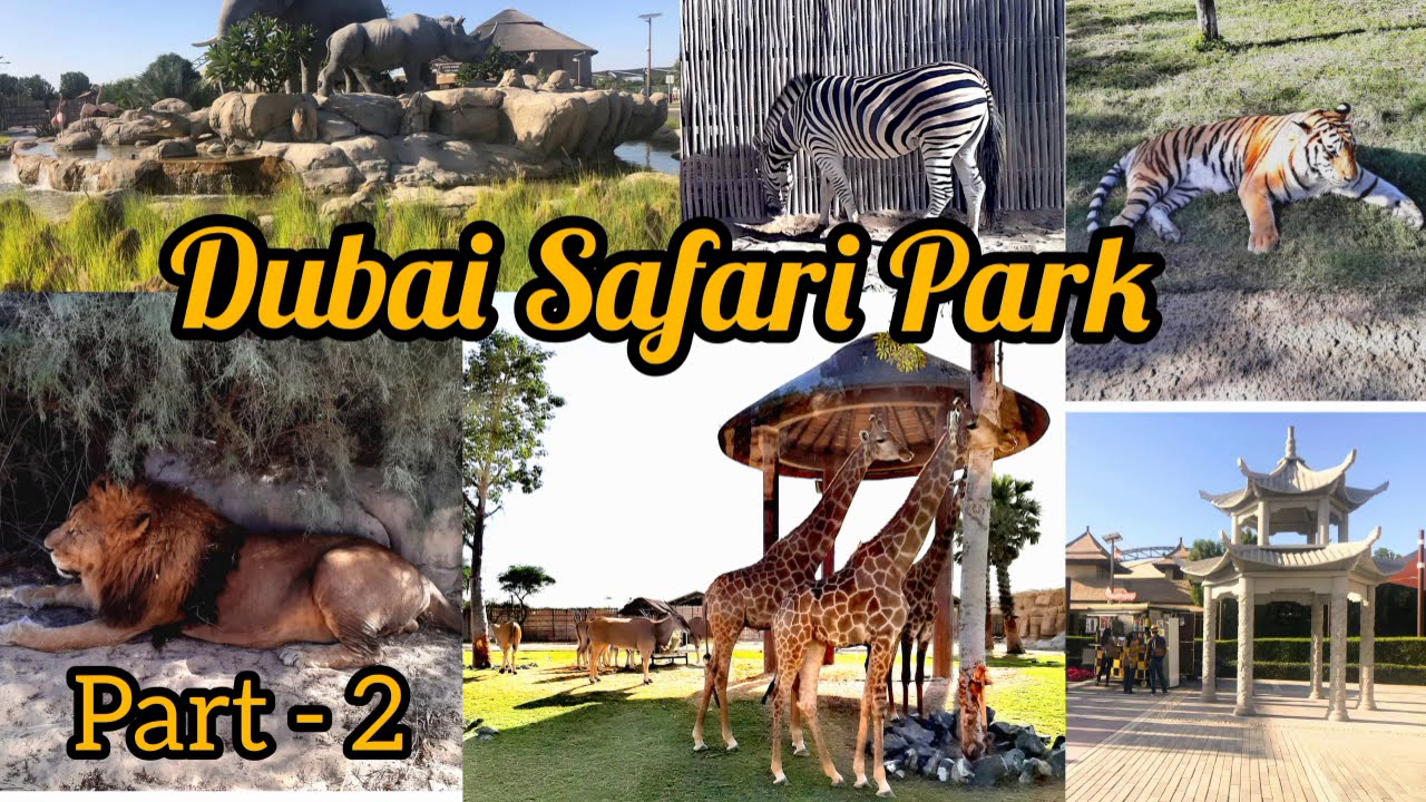 dubai safari park best time to visit