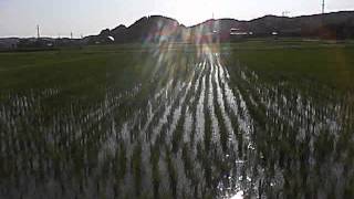 2012-05-27_09.11.01_00007.mp4