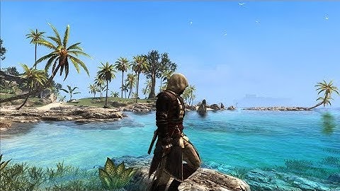 Find a way to Havana, Assassin