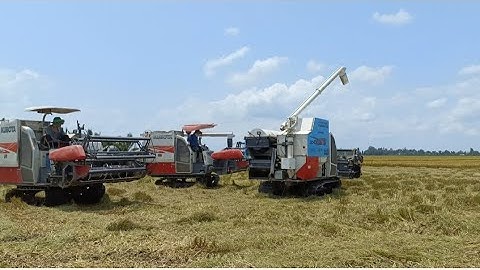 ba máy cắt bồn không cần người hứng nhẹ công tập100#maibangtv