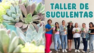 Planting succulents with my subscribers │Candy Bu