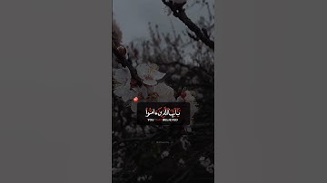 عمر الدريويز سورة الأحزاب ﴿إِنَّ اللَّهَ وَمَلائِكَتَهُ يُصَلُّونَ عَلَى النَّبِيِّ﴾ 🫀🤍