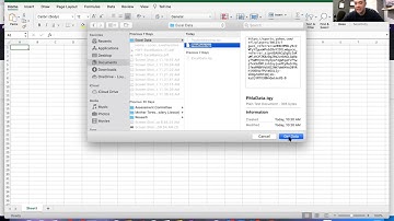 Insert External Data (Website) In Excel Using MAC (Apple)