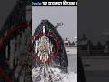 whales 🐳 सीधा क्यो सोता है🤔 youtubeshorts #facts #viral #trending #amazingfacts #shorts #revoker
