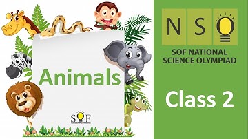 NSO Science Olympiad Class 2 | Animals
