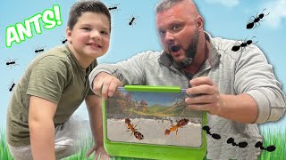 ANTS in MY HOUSE!! Caleb and Dad build an ANT FARM for kids! by Caleb Kids Show 1,780,520 views 2 months ago 10 minutes, 25 seconds