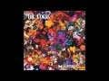 The Coral - Into the Sun