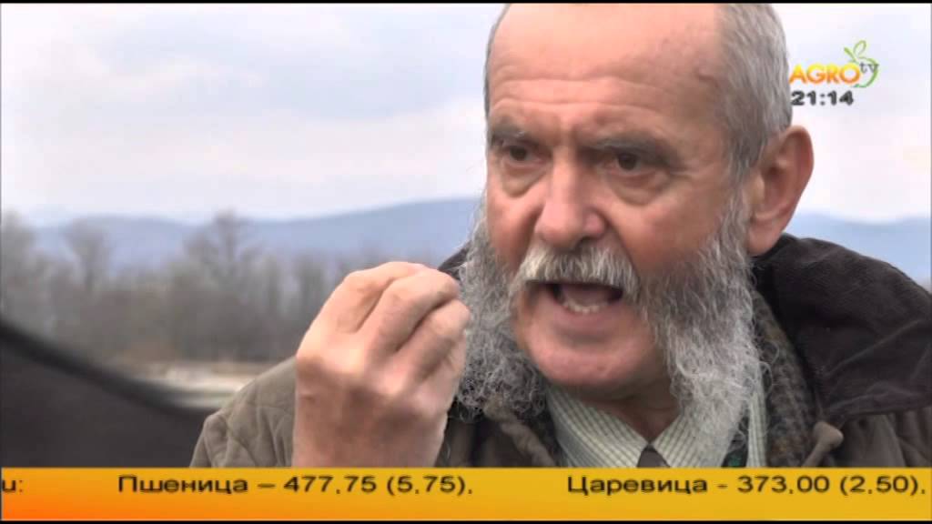 Конете на България