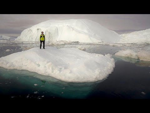 news india today Protecting life in the Arctic seas