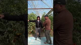 WhatsApp Video 2024 09 27 at 18 52 40