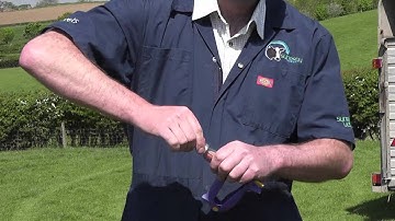 XL vets, Farm Skills video. How to vaccinate sheep