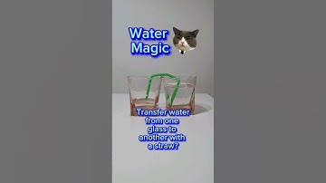 H2O Magic: Fascinating Water Transfer with a Simple,