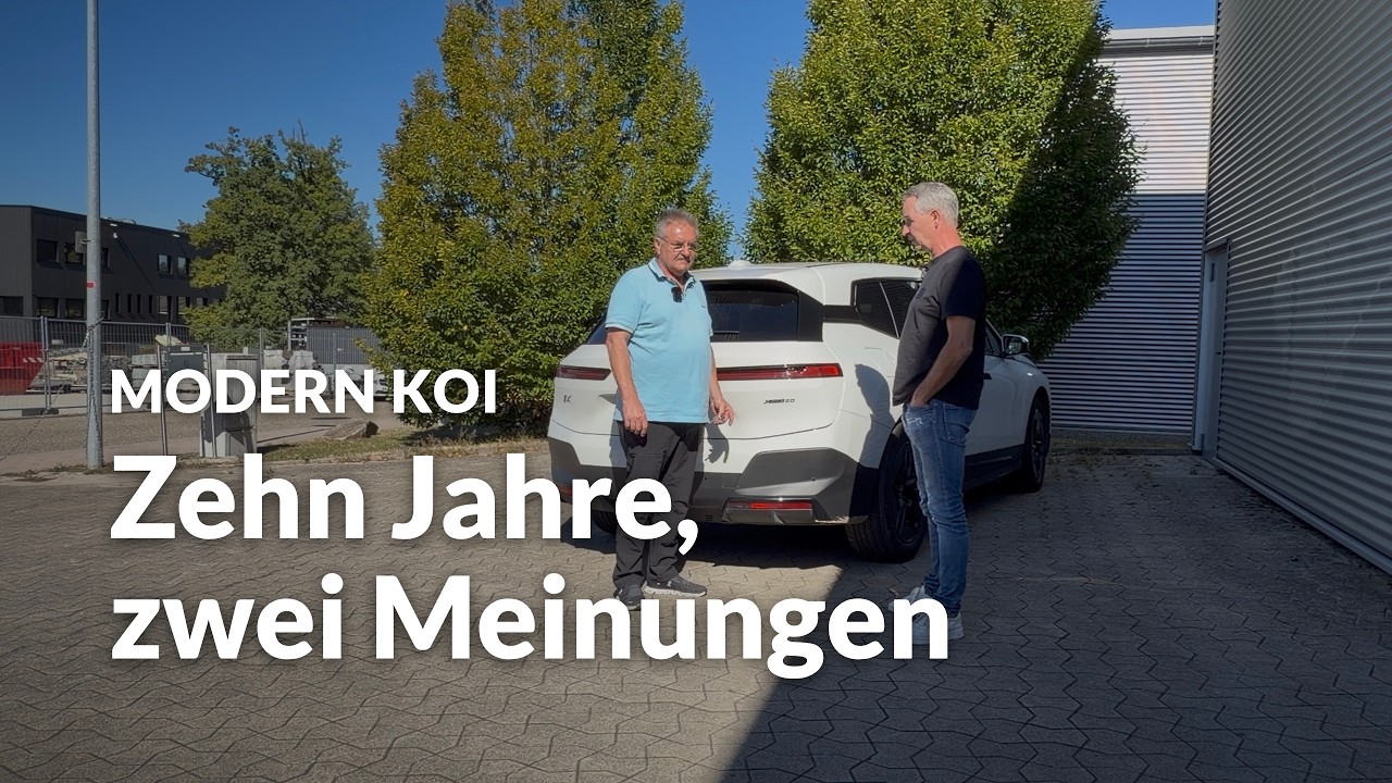 Genesis Teil 9: Zehn Jahre Genesis & Modern Koi | Modern Koi Blog #8414