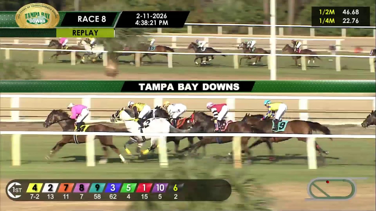 Tampa Bay Downs Live Stream