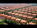 Every Resident Is A Millionaire. The Wealthiest Village In China