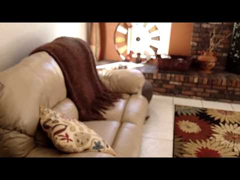 Beautiful Single Family Home with Great Backyard 12012 Anchor Way Largo FL