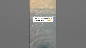 How humans could’ve evolved differently😧😬 #shorts #shortsfeed ￼