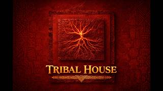 Voodoo Tribal Afro House  Hypnotic African Ritual Beats 56 Min Mix