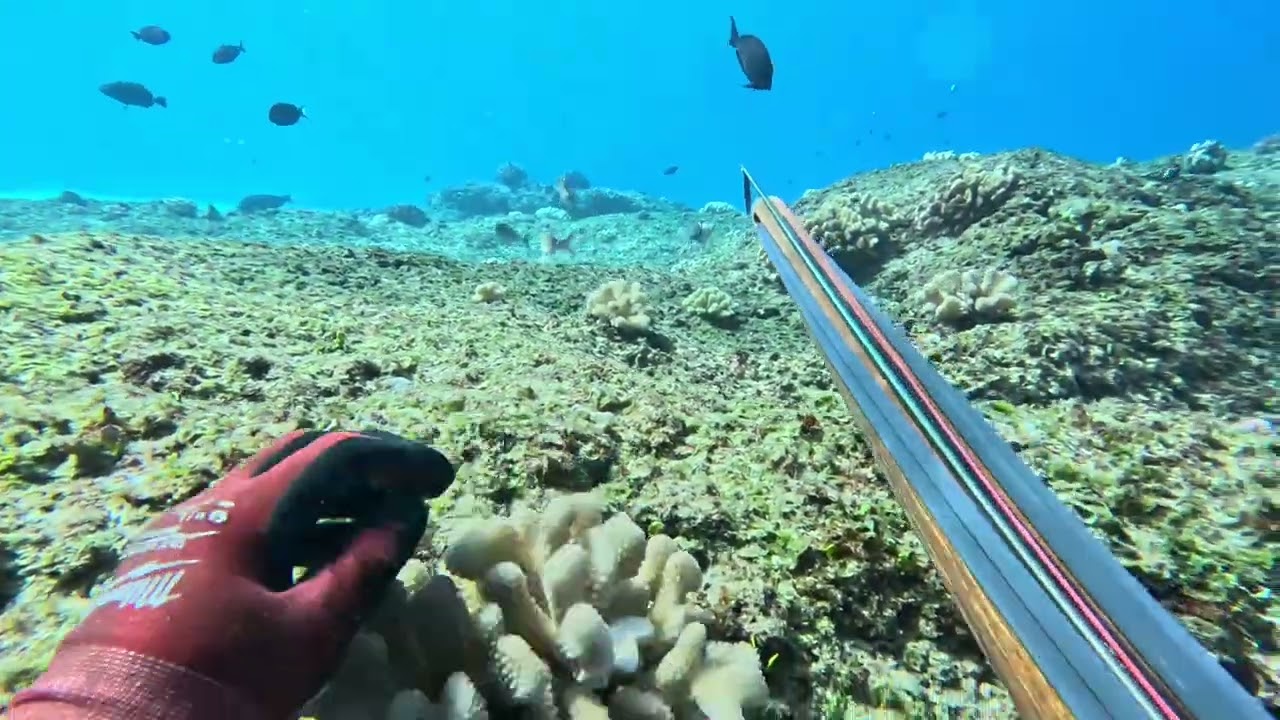 Doing What We Do Best! 🤙🏻🤙🏻🤙🏻