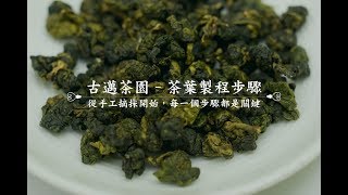 梨山古邁茶園｜茶葉製程步驟 Tea Processing Steps