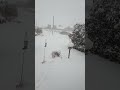 Here comes the Plow!