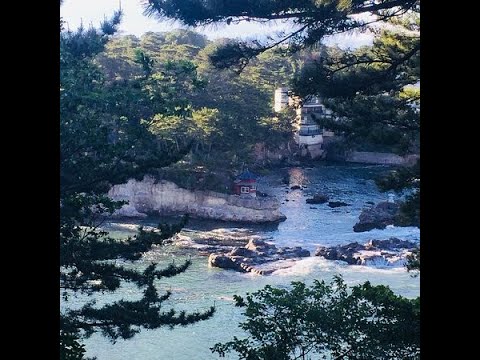 حكم علينا الهوى