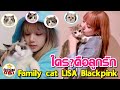 ส่องความน่ารักเจ้าแมวน้อยของ 'ลิซ่า Lisa BLACKPINK' : Family Cat 's Lisa Blackpink