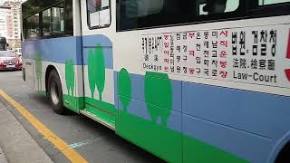 부산50번버스