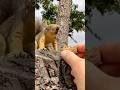 The look when you see to your favorite food! Squirrel Baby Davey is excited #animals #friends #tasty