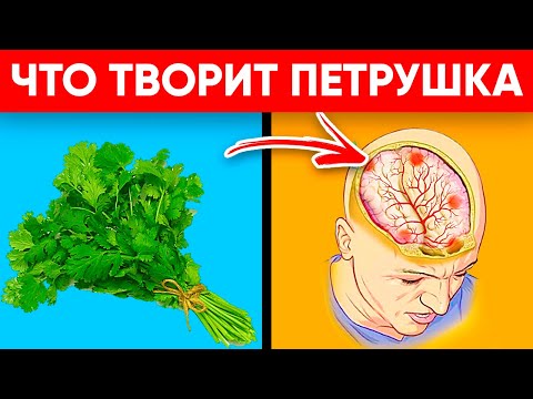 100 Грамм и Бодрость На Целый День! Вот Что Творит Петрушка! Реальная Польза и Вред Петрушки