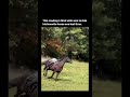 Before He Died, He Asked For One Last Ride