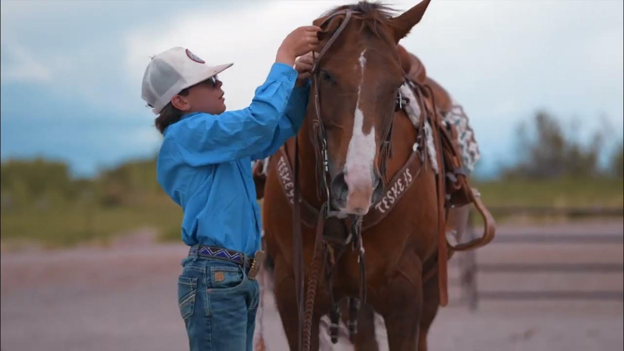 WACO Consigned to League of Legends Horse Sale Success Horses LLC