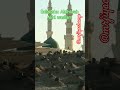 kab tak maut nahin aati darood padhne walon ki #daroodsharif #motivation #facts #youtubeshorts