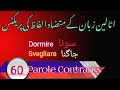 Learn Italian Opposite Words in Urdu || متضاد الفاظ || Italian for Beginners 🇮🇹 ♥🌷